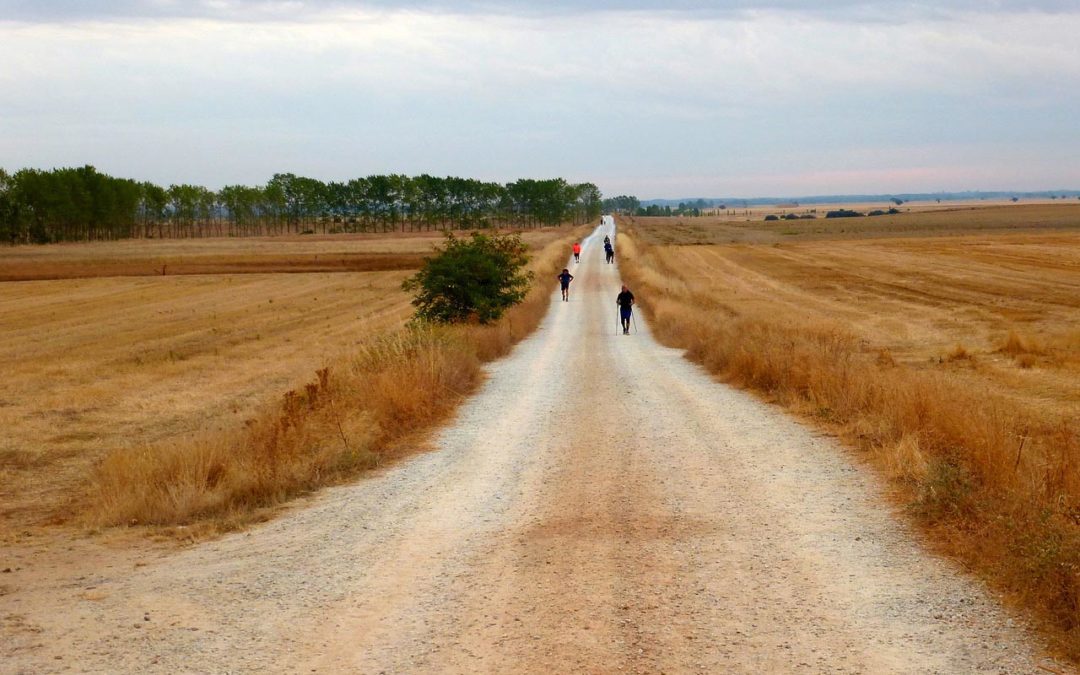 The Camino, Spain: Walking Back To Your Authentic Self…with Sue Kenney