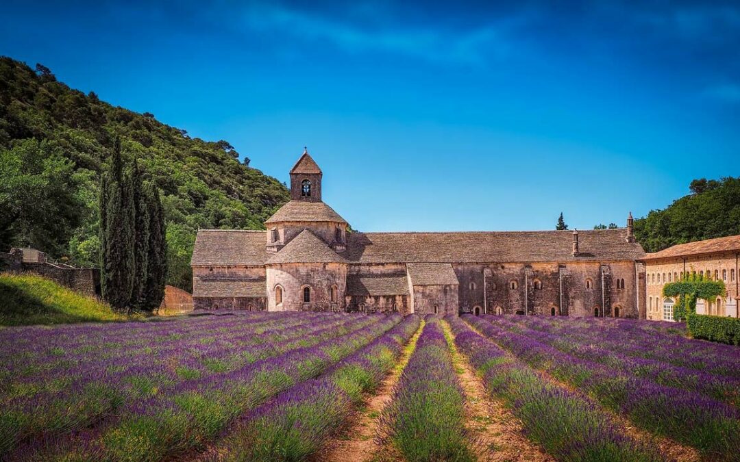 Explore the legend of a female icon in the beautiful South of France