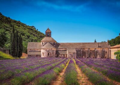 Lavender fields in front Monastery, France