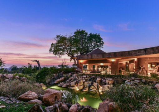 Africa: A Journey to the Heart and Soul - Sabi Sabi Earth Lodge