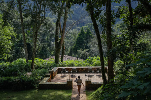 Bwindi Lodge Tea Platform overlooking volcanoes
