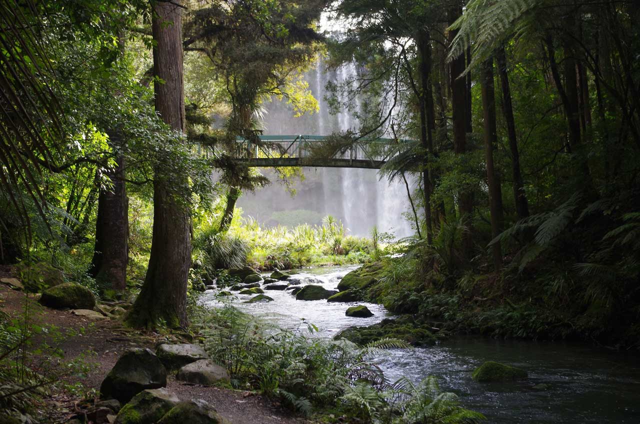 Whangarei Falls, Whangarei, New Zealand